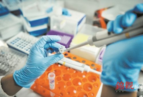 睿樂達再次吸睛 從機器人到原研藥，看成都566.8億元高新技術(shù)產(chǎn)品背后的創(chuàng)新韌性