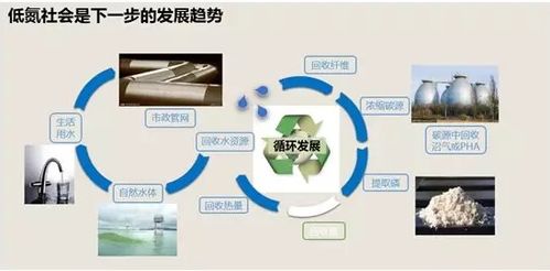 王凱軍 水業(yè)技術(shù)發(fā)展瓶頸與行業(yè)發(fā)展趨勢及技術(shù)服務(wù)創(chuàng)新